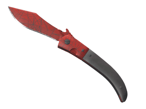 Image of an item