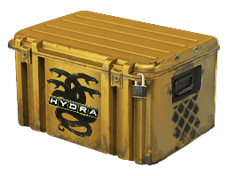 Operation Hydra Case