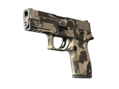 Souvenir P250 | Black & Tan (Well-Worn)