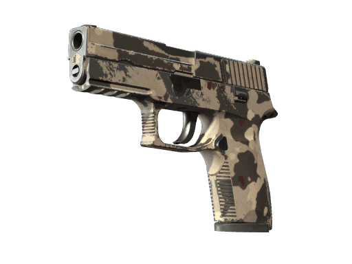 Souvenir P250 | Black & Tan (Well-Worn)