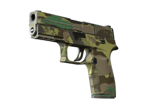 P250 | Boreal Forest (Field-Tested)