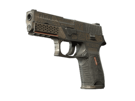 P250 | Bullfrog (Battle-Scarred)