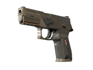 StatTrak™ P250 | Bullfrog (Field-Tested)