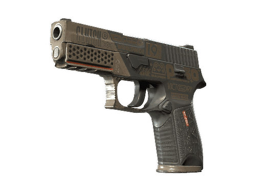P250 | Bullfrog (Well-Worn)