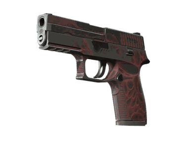 StatTrak™ P250 | Contaminant (Battle-Scarred)