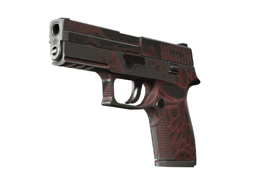 P250 | Contaminant (Battle-Scarred)