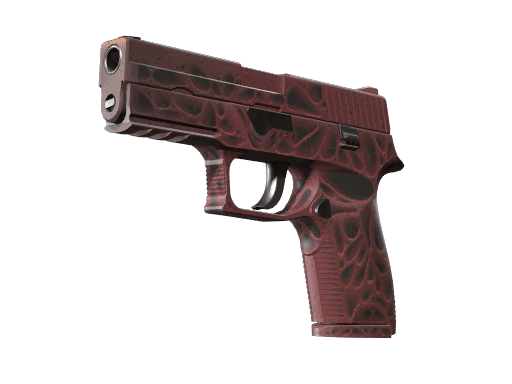 StatTrak™ P250 | Contaminant (Factory New)