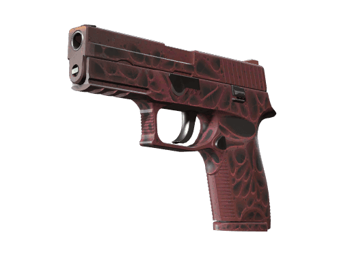 P250 | Contaminant (Minimal Wear)