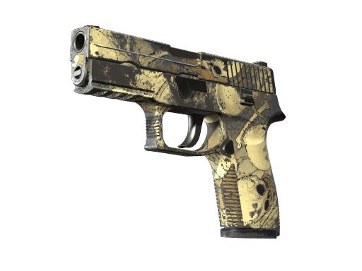 P250 | Contamination (Well-Worn)