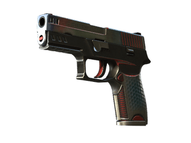 StatTrak™ P250 | Cyber Shell (Well-Worn)
