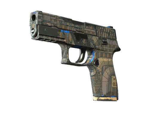 Souvenir P250 | Exchanger (Well-Worn)