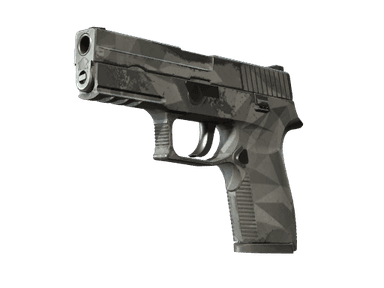 P250 | Facets (Well-Worn)