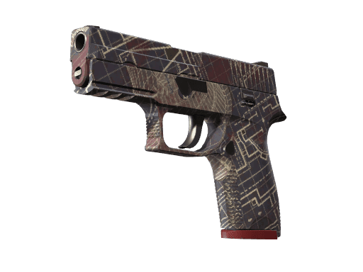 P250 | Facility Draft (Minimal Wear)