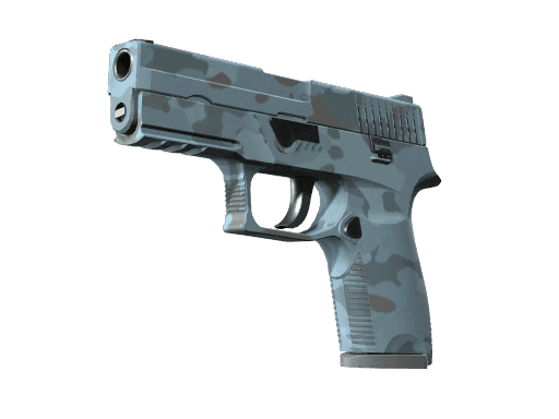 P250 | Forest Night (Factory New)