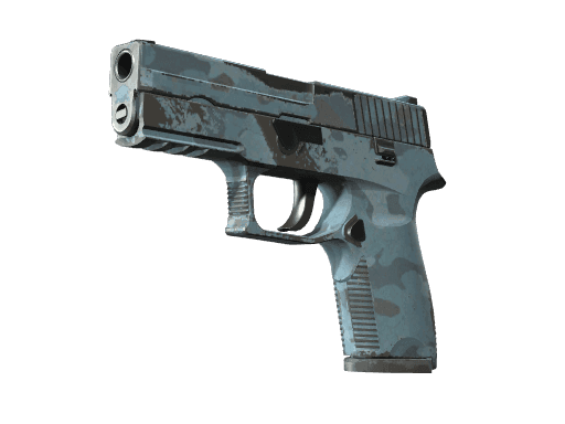 P250 | Forest Night (Field-Tested)