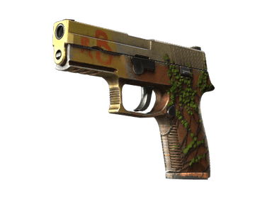 P250 | Inferno (Field-Tested)