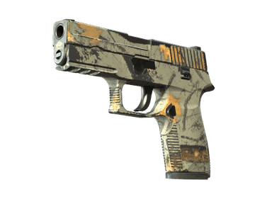 P250 | Modern Hunter (Well-Worn)
