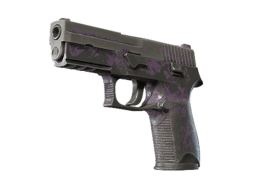Image of an item