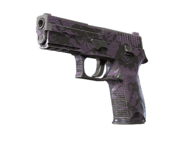P250 | Plum Netting (Well-Worn)