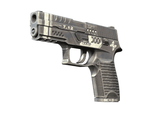 StatTrak™ P250 | Re.built (Minimal Wear)