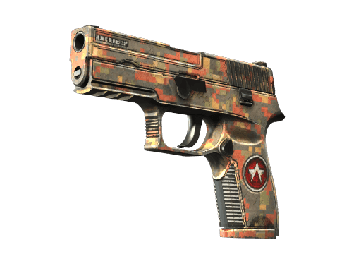 P250 | Red Rock (Field-Tested)