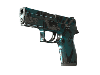 StatTrak™ P250 | Ripple (Well-Worn)