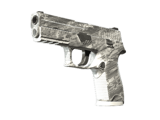 P250 | Sleet (Factory New)