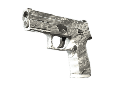 P250 | Sleet (Minimal Wear)