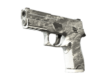 P250 | Sleet (Well-Worn)