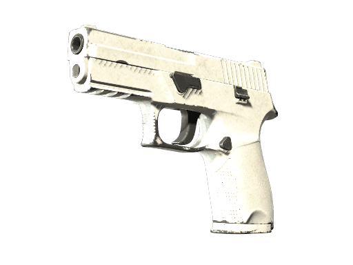 P250 | Whiteout (Well-Worn)
