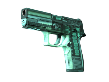 StatTrak™ P250 | X-Ray (Factory New)
