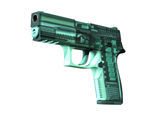 StatTrak™ P250 | X-Ray (Factory New)