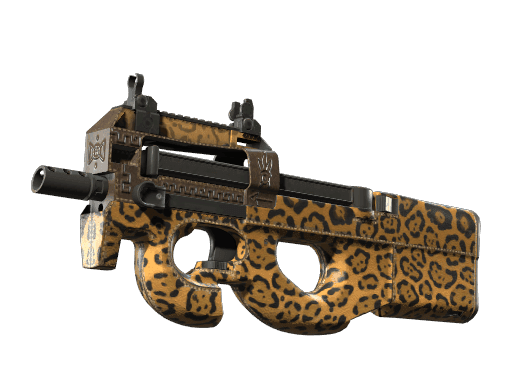Image of an item