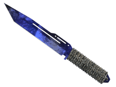 ★ StatTrak™ Paracord Knife | Doppler (Factory New)