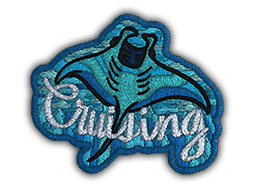 Image of an item