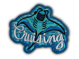 Patch | Cruising Ray