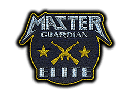 Patch | Metal Master Guardian Elite