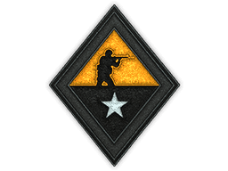 Image of an item