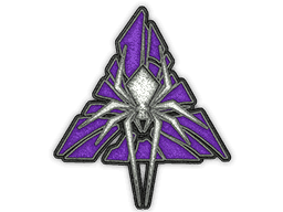 Image of an item