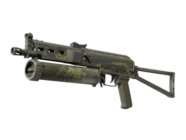 Souvenir PP-Bizon | Anolis (Battle-Scarred)