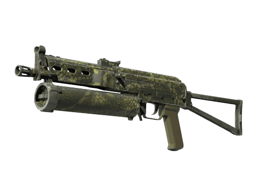 Souvenir PP-Bizon | Anolis (Well-Worn)