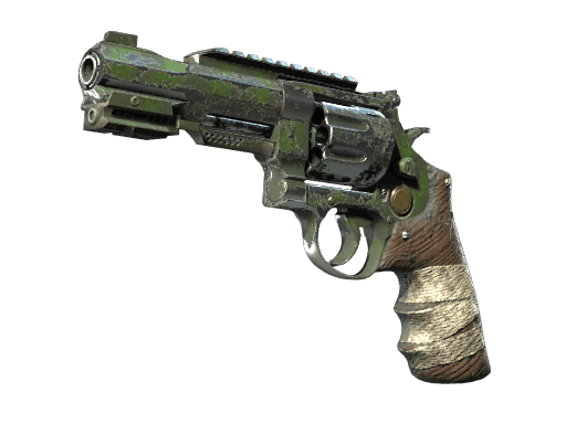 R8 Revolver | Survivalist (Battle-Scarred)
