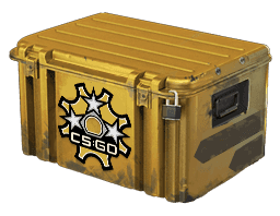 Revolver Case