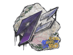 Sealed Graffiti | 9z Team | Rio 2022