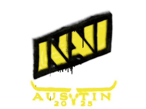 Image of an item