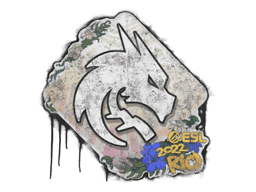 Sealed Graffiti | Team Spirit | Rio 2022