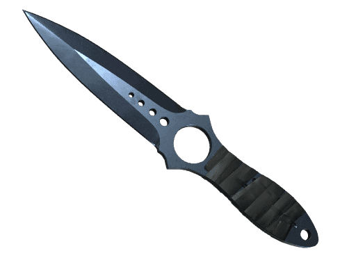 ★ Skeleton Knife | Blue Steel (Well-Worn)