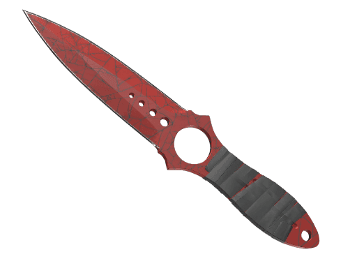 Image of an item
