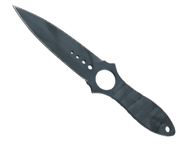 ★ Skeleton Knife | Night Stripe (Well-Worn)