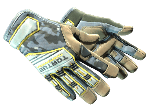 Image of an item